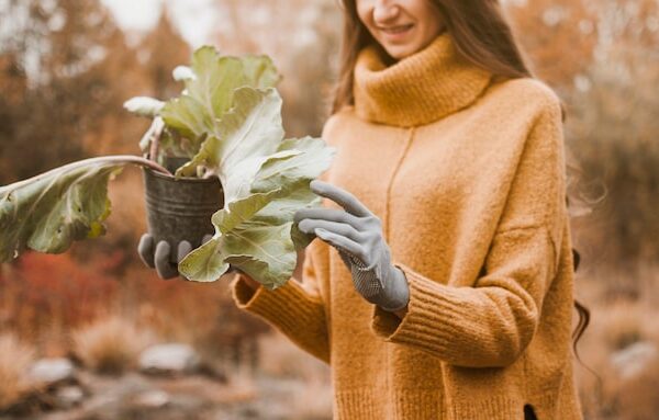 Как укрепить иммунитет зимой: 7 эффективных растений