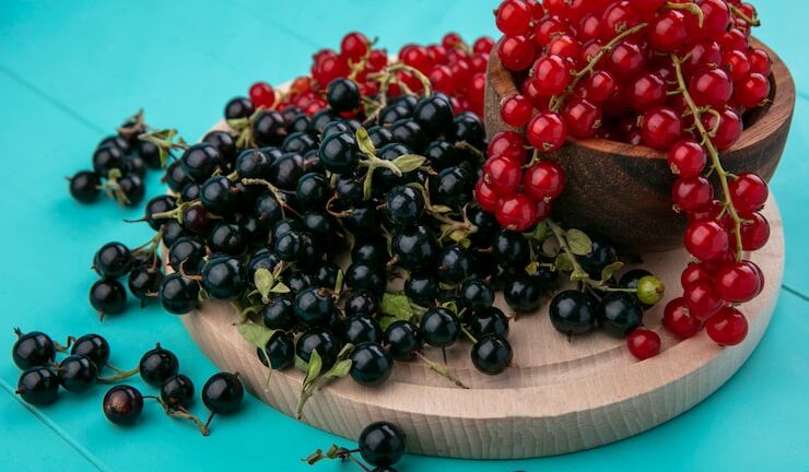 На фотографии изображен какой сорт смородины?