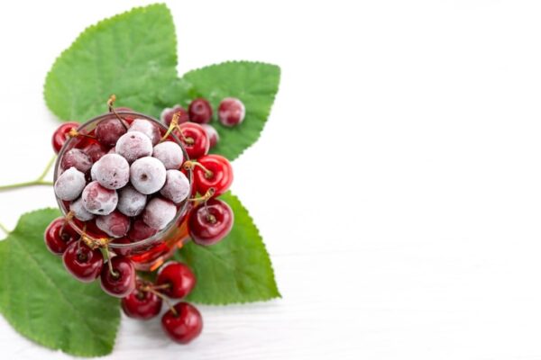 Что вызывает пятнистость на листьях смородины?