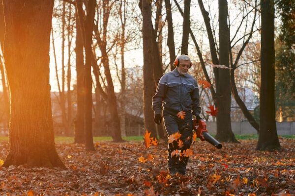 Как убрать листья в саду: советы и видеоинструкция