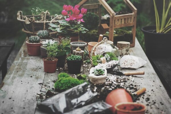 Как оживить клумбу: 6 ярких цветовых решений