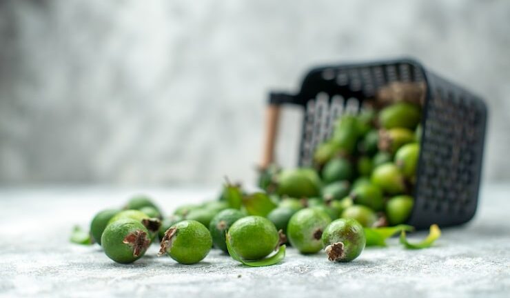 Как подготовить ягодные кустарники к зиме: советы для садоводов