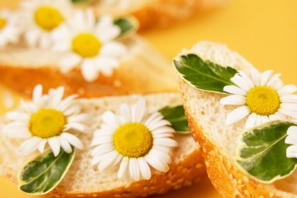 Растительные средства для женского здоровья